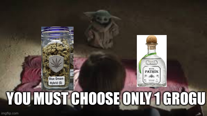 Choose | YOU MUST CHOOSE ONLY 1 GROGU | image tagged in star wars | made w/ Imgflip meme maker