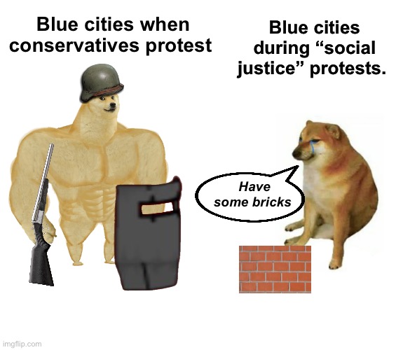 Tough guys | Blue cities during “social justice” protests. Blue cities when conservatives protest; Have some bricks | image tagged in memes,buff doge vs cheems,politics lol | made w/ Imgflip meme maker