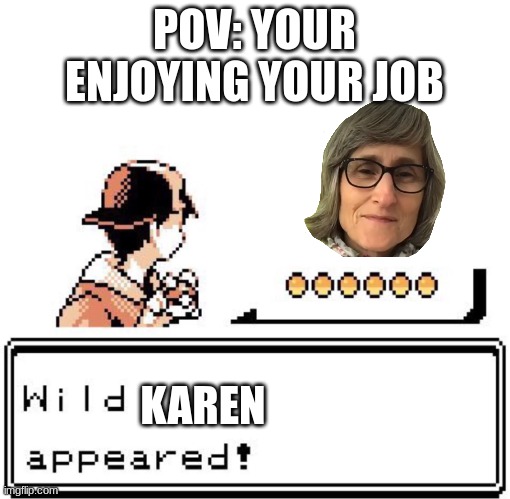 Blank Wild Pokemon Appears | POV: YOUR ENJOYING YOUR JOB; KAREN | image tagged in blank wild pokemon appears | made w/ Imgflip meme maker