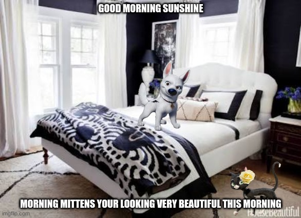 bolttens: good morning | GOOD MORNING SUNSHINE; MORNING MITTENS YOUR LOOKING VERY BEAUTIFUL THIS MORNING | image tagged in bedroom,disney,cats,dogs,romance,bolt | made w/ Imgflip meme maker