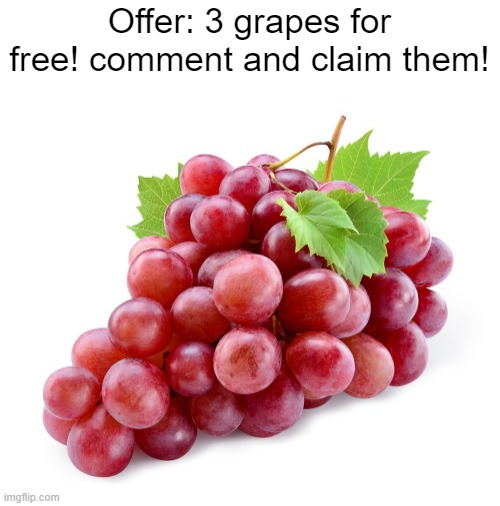 Offer: 3 grapes for free! comment and claim them! | image tagged in grapes | made w/ Imgflip meme maker