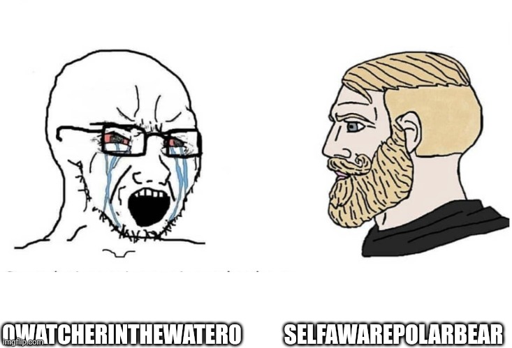 Soyboy Vs Yes Chad | SELFAWAREPOLARBEAR; 0WATCHERINTHEWATER0 | image tagged in soyboy vs yes chad | made w/ Imgflip meme maker