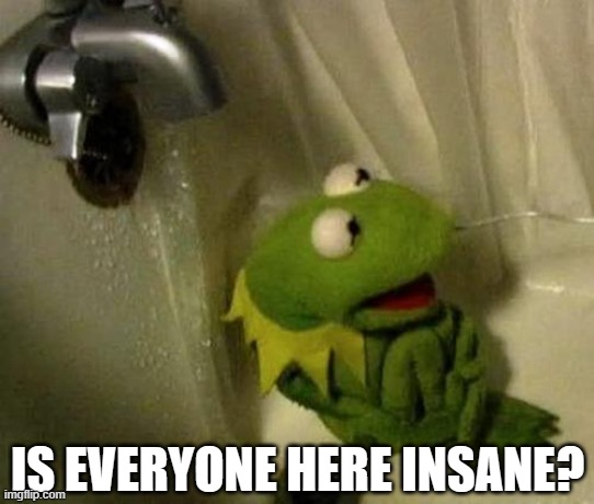 IS EVERYONE HERE INSANE? | image tagged in kermit on shower | made w/ Imgflip meme maker