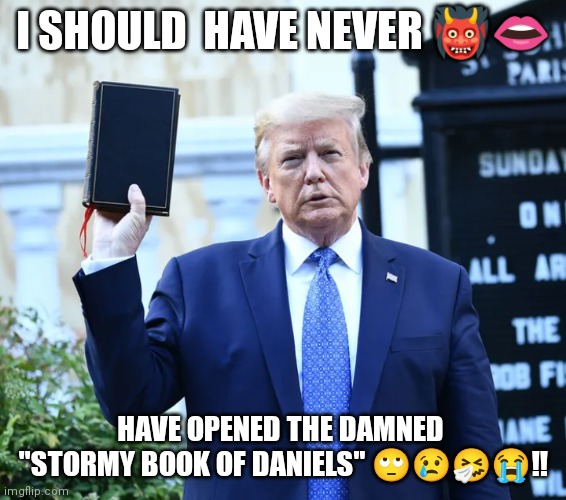 Stormy Trump | I SHOULD  HAVE NEVER 👹👄; HAVE OPENED THE DAMNED 
"STORMY BOOK OF DANIELS" 🙄😢🤧😭‼️ | made w/ Imgflip meme maker