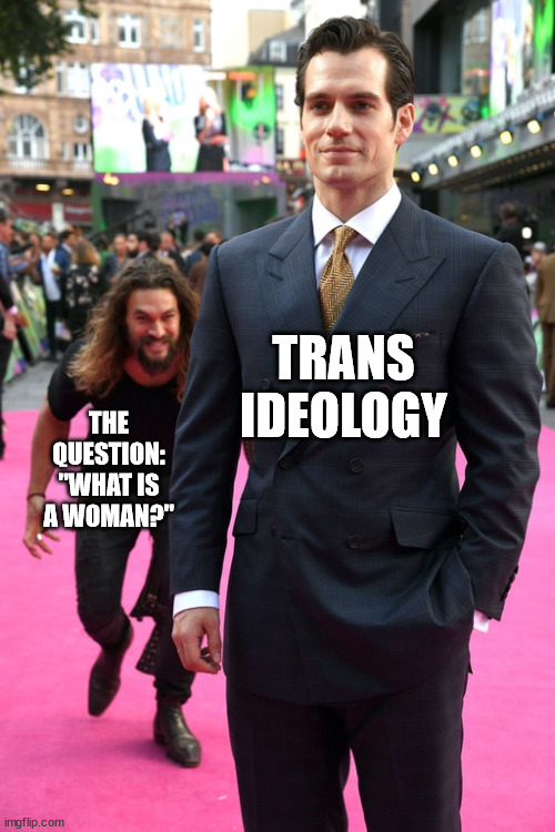 Jason Momoa Henry Cavill Meme | TRANS IDEOLOGY; THE QUESTION: "WHAT IS A WOMAN?" | image tagged in jason momoa henry cavill meme | made w/ Imgflip meme maker