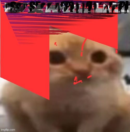 spoingus | SPOINGUS :) | image tagged in spoingus | made w/ Imgflip meme maker