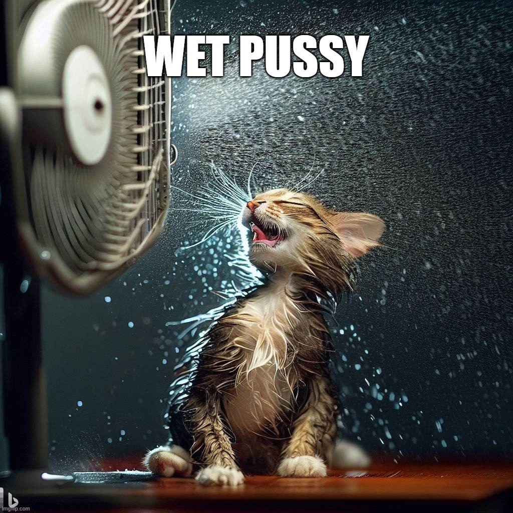 Wet Pussy Imgflip 