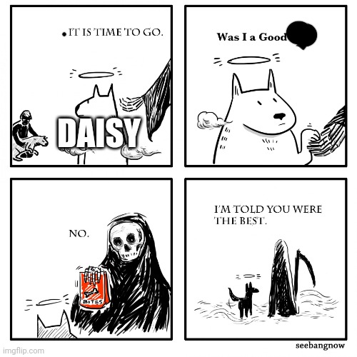 Daisy was a girl | DAISY | image tagged in was i a good boy | made w/ Imgflip meme maker