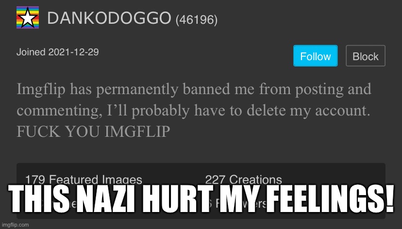 DANKODOGGO troll | THIS NAZI HURT MY FEELINGS! | image tagged in dankodoggo troll | made w/ Imgflip meme maker