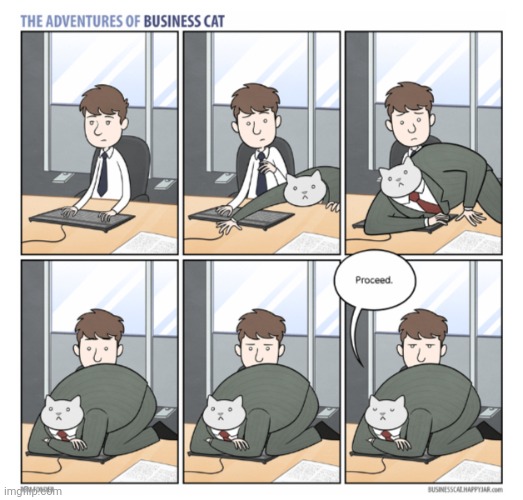 The Adventures of Business Cat #15 | made w/ Imgflip meme maker