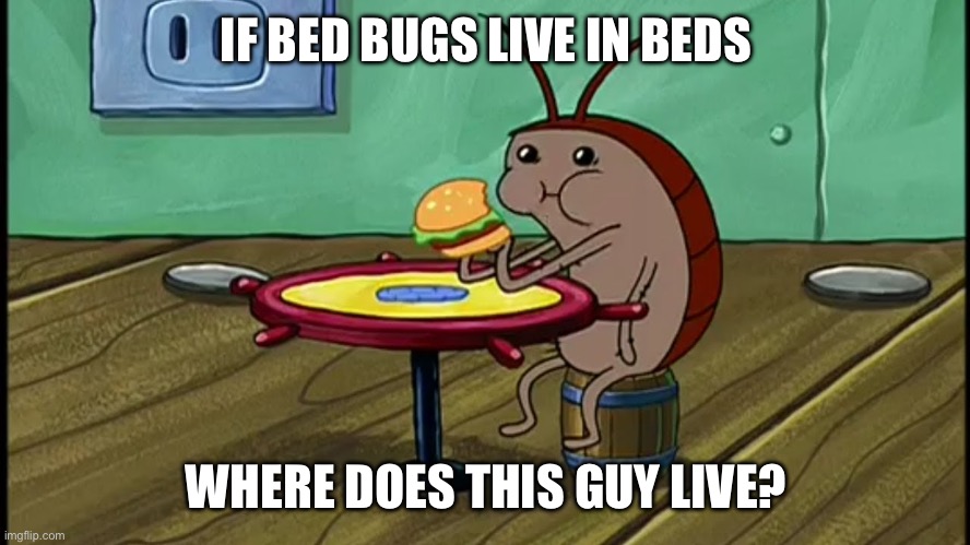 Spongebob Cockroach Eating | IF BED BUGS LIVE IN BEDS WHERE DOES THIS GUY LIVE? | image tagged in spongebob cockroach eating | made w/ Imgflip meme maker