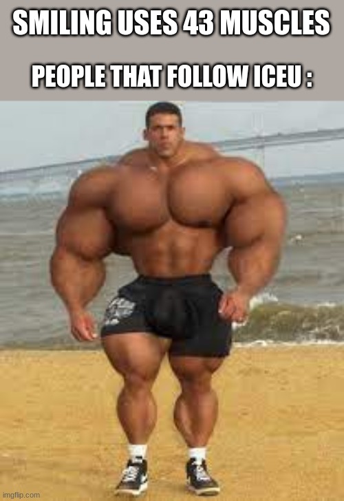 Fr fr | SMILING USES 43 MUSCLES; PEOPLE THAT FOLLOW ICEU : | image tagged in extremely strong guy | made w/ Imgflip meme maker