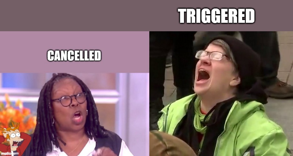 GOOD MORNING DEMrats / LIBrats get ready to snivel.. | TRIGGERED | image tagged in crying liberal,democrats,traitors | made w/ Imgflip meme maker