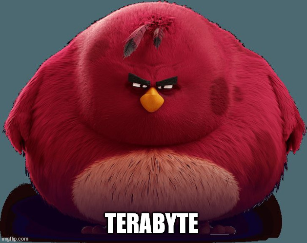 Angry Birds - Terence | TERABYTE | image tagged in angry birds - terence | made w/ Imgflip meme maker