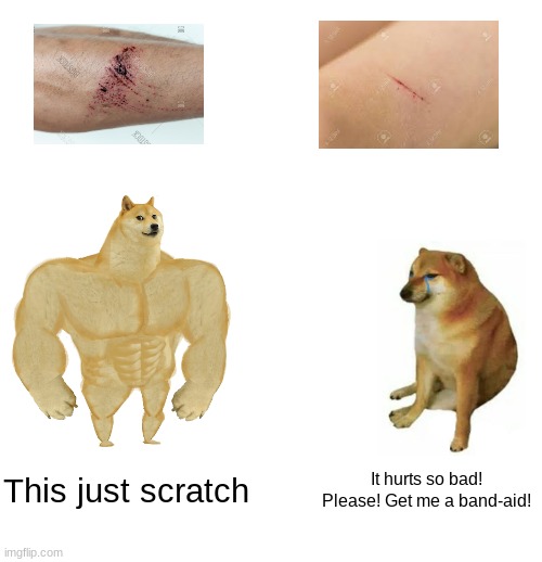 We are spoiled people | This just scratch; It hurts so bad! Please! Get me a band-aid! | image tagged in memes,buff doge vs cheems | made w/ Imgflip meme maker