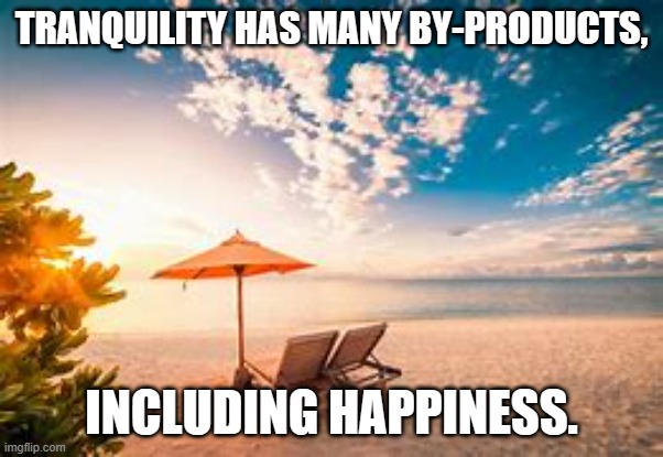 TRANQUILITY HAS MANY BY-PRODUCTS, INCLUDING HAPPINESS. | made w/ Imgflip meme maker