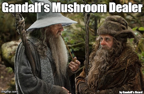 Gandalf's Mushroom Dealer by Gandalf's Beard | image tagged in funny,gandalf | made w/ Imgflip meme maker