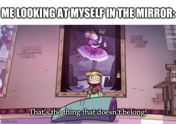 ME LOOKING AT MYSELF IN THE MIRROR:; That’s the thing that doesn’t belong! | image tagged in star butter fly that s the thing that doesn t belong | made w/ Imgflip meme maker