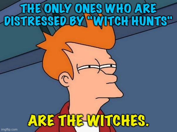 Guilty is guilty | THE ONLY ONES WHO ARE DISTRESSED BY "WITCH HUNTS"; ARE THE WITCHES. | image tagged in skeptical fry | made w/ Imgflip meme maker