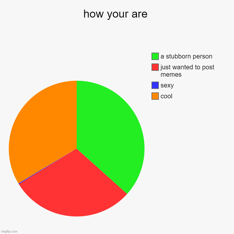 how your are | cool, sexy, just wanted to post memes, a stubborn person | image tagged in charts,pie charts | made w/ Imgflip chart maker