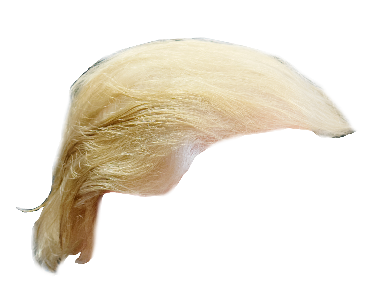 Trump Hair Blank Meme Template