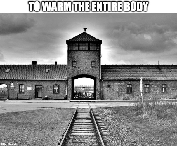 aushwitz | TO WARM THE ENTIRE BODY | image tagged in aushwitz | made w/ Imgflip meme maker