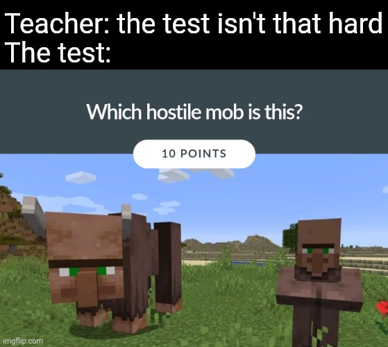 Ravallager (ravager + villager) | Teacher: the test isn't that hard
The test: | image tagged in minecraft | made w/ Imgflip meme maker