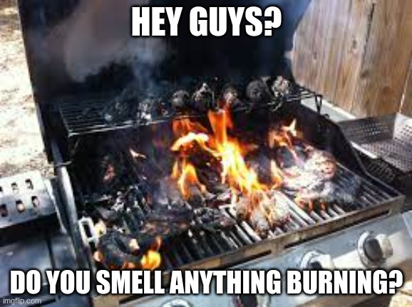 Food is best when burnt | HEY GUYS? DO YOU SMELL ANYTHING BURNING? | image tagged in you had one job,memes | made w/ Imgflip meme maker