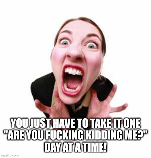 One Day at a Time | YOU JUST HAVE TO TAKE IT ONE
"ARE YOU FUCKING KIDDING ME?"
DAY AT A TIME! | image tagged in silly,stressed out | made w/ Imgflip meme maker