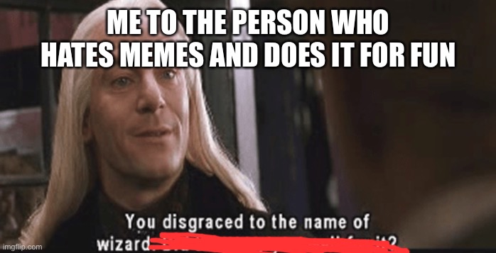 You disgrace the name of the wizard | ME TO THE PERSON WHO HATES MEMES AND DOES IT FOR FUN | image tagged in you disgrace the name of the wizard | made w/ Imgflip meme maker