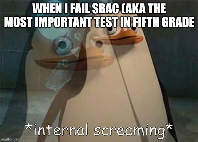 True story | WHEN I FAIL SBAC (AKA THE MOST IMPORTANT TEST IN FIFTH GRADE | image tagged in private internal screaming | made w/ Imgflip meme maker