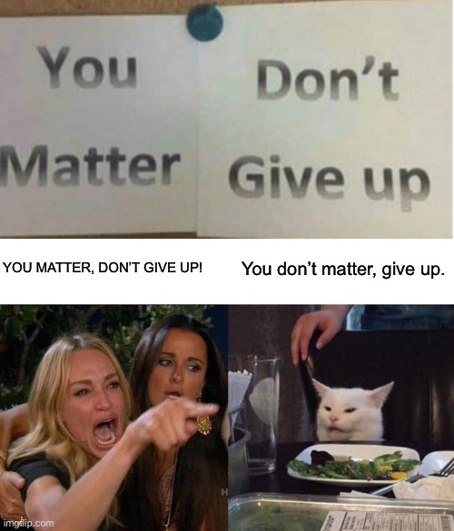 Dat cat is the best(This is a joke, don’t give up) | YOU MATTER, DON’T GIVE UP! You don’t matter, give up. | image tagged in memes,woman yelling at cat | made w/ Imgflip meme maker