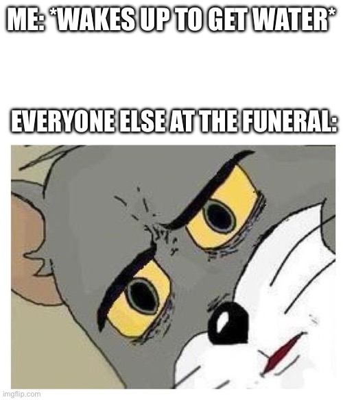 someone prob made this before but | ME: *WAKES UP TO GET WATER*; EVERYONE ELSE AT THE FUNERAL: | image tagged in unsettled tom | made w/ Imgflip meme maker