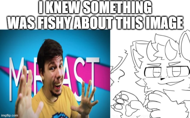 aint no way... | I KNEW SOMETHING WAS FISHY ABOUT THIS IMAGE | image tagged in mr beast,you dare oppose me mortal,pose,wut,furry,youtube | made w/ Imgflip meme maker