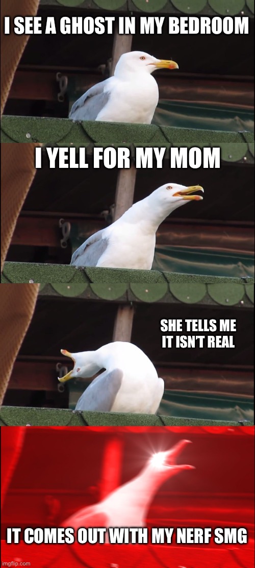 The Gost | I SEE A GHOST IN MY BEDROOM; I YELL FOR MY MOM; SHE TELLS ME IT ISN’T REAL; IT COMES OUT WITH MY NERF SMG | image tagged in memes,inhaling seagull | made w/ Imgflip meme maker