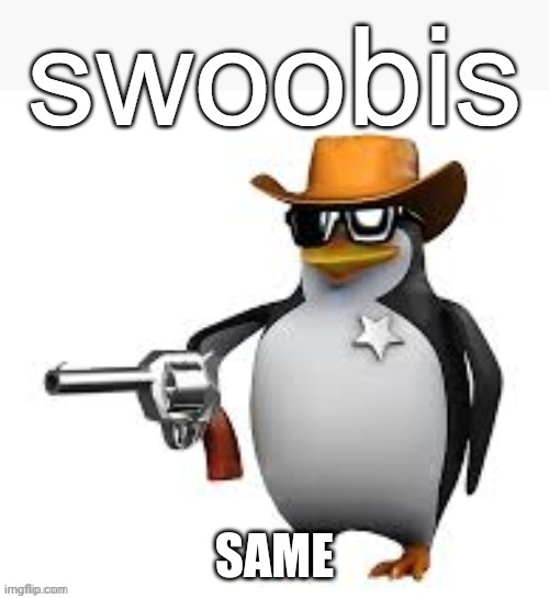 Swoobis | SAME | image tagged in swoobis | made w/ Imgflip meme maker