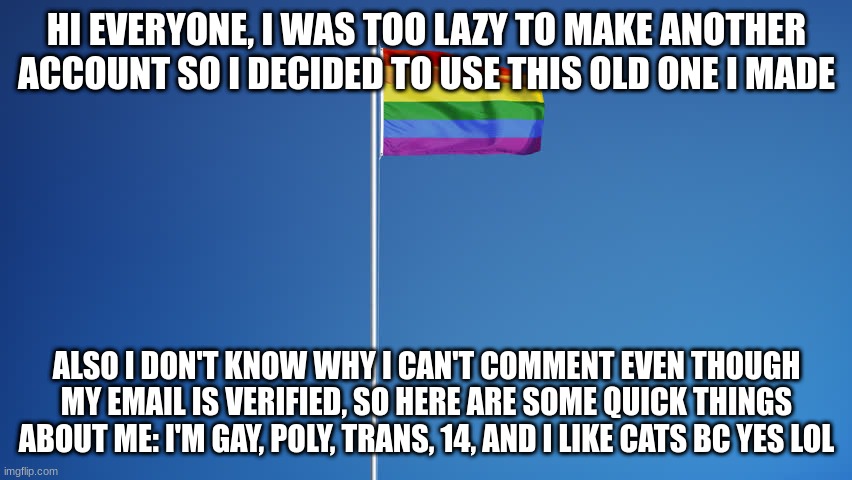 LGBTQ Flag | HI EVERYONE, I WAS TOO LAZY TO MAKE ANOTHER ACCOUNT SO I DECIDED TO USE THIS OLD ONE I MADE; ALSO I DON'T KNOW WHY I CAN'T COMMENT EVEN THOUGH MY EMAIL IS VERIFIED, SO HERE ARE SOME QUICK THINGS ABOUT ME: I'M GAY, POLY, TRANS, 14, AND I LIKE CATS BC YES LOL | image tagged in lgbtq flag | made w/ Imgflip meme maker