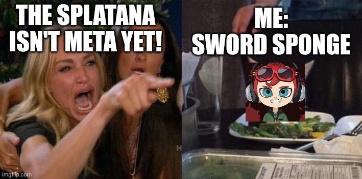 Splatoon meta sucks! | ME:
SWORD SPONGE; THE SPLATANA ISN'T META YET! | image tagged in girl screaming at cat,splatoon | made w/ Imgflip meme maker