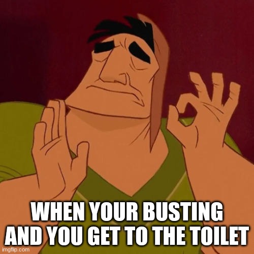 When X just right | WHEN YOUR BUSTING AND YOU GET TO THE TOILET | image tagged in when x just right | made w/ Imgflip meme maker