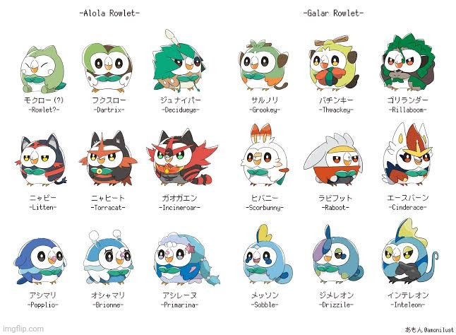 image tagged in rowlet | made w/ Imgflip meme maker