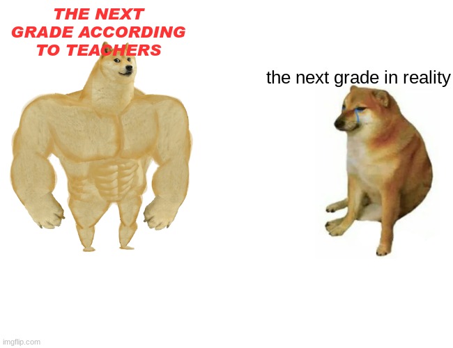 grades... | THE NEXT GRADE ACCORDING TO TEACHERS; the next grade in reality | image tagged in memes,buff doge vs cheems | made w/ Imgflip meme maker