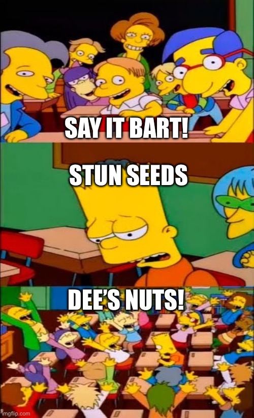say the line bart! simpsons | SAY IT BART! STUN SEEDS; DEE’S NUTS! | image tagged in say the line bart simpsons | made w/ Imgflip meme maker