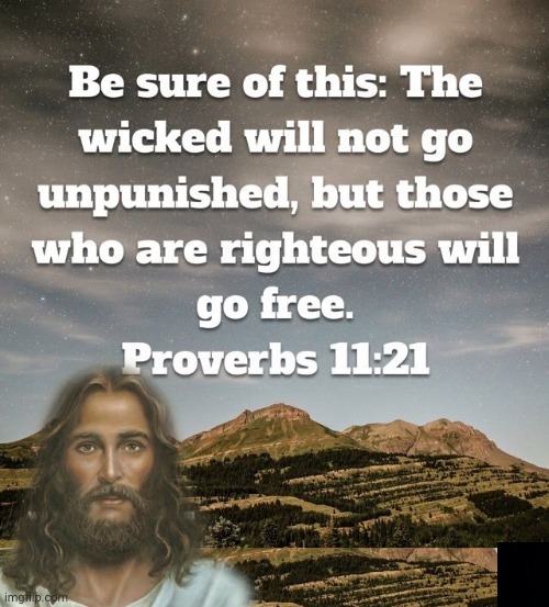 Bible quote Proverbs 11 21 | image tagged in bible verse | made w/ Imgflip meme maker