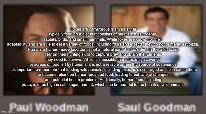 paul vs saul | Foxes are carnivorous mammals that typically feed on a diet that consists of meat such as rodents, rabbits, birds, and small mammals. While foxes are known for their adaptability and are able to eat a variety of foods, including fruits and insects, they do not primarily eat pizza.

Pizza is a human-made food that is not a natural part of a fox's diet. In the wild, foxes rely on their hunting skills to capture prey and obtain the nutrients they need to survive. While it is possible that a fox may scavenge for scraps of food left by humans, it is not a reliable or healthy source of sustenance.

It is important to remember that feeding wild animals, including foxes, is discouraged as it can cause them to become reliant on human-provided food, leading to behavioral changes and potential health problems. Additionally, human food, including pizza, is often high in salt, sugar, and fat, which can be harmful to the health of wild animals. | image tagged in paul vs saul | made w/ Imgflip meme maker
