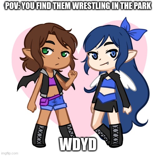 POV: YOU FIND THEM WRESTLING IN THE PARK; WDYD | made w/ Imgflip meme maker