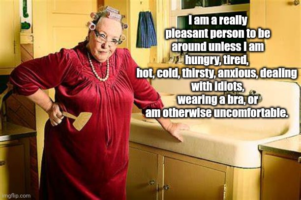 I *Am* a Pleasant Person! ? | l am a really pleasant person to be around unless I am hungry, tired, 
hot, cold, thirsty, anxious, dealing 
with idiots, wearing a bra, or am otherwise uncomfortable. | image tagged in funny,nice,grumpy | made w/ Imgflip meme maker