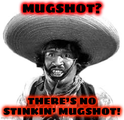 Badges we dont need no stinking badges | MUGSHOT? THERE’S NO STINKIN’ MUGSHOT! | image tagged in badges we dont need no stinking badges | made w/ Imgflip meme maker