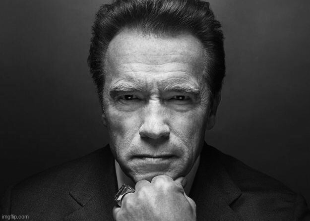 Arnold just do it, now | image tagged in arnold just do it now | made w/ Imgflip meme maker