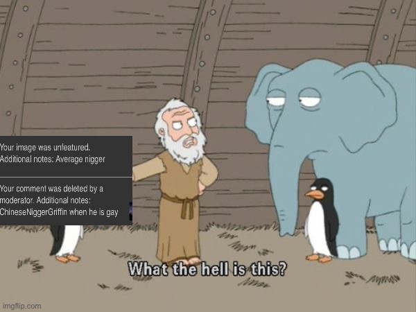 What the hell is this? | image tagged in what the hell is this | made w/ Imgflip meme maker