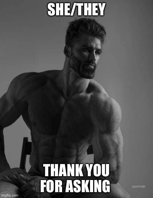 Giga Chad | SHE/THEY THANK YOU FOR ASKING | image tagged in giga chad | made w/ Imgflip meme maker